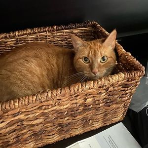 Meet your Posher, Wendy